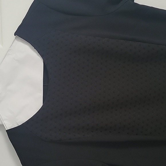 Banana Rep Suiting Work Dress - Picture 5 of 5